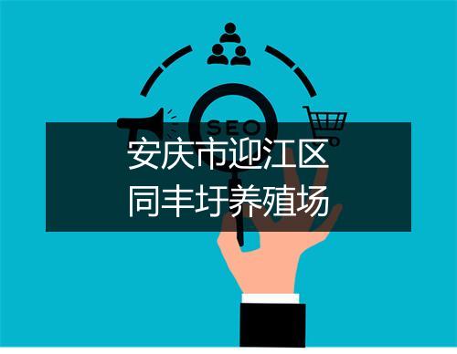 安庆市迎江区同丰圩养殖场