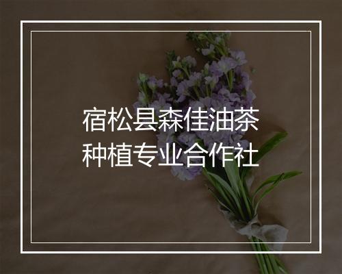 宿松县森佳油茶种植专业合作社