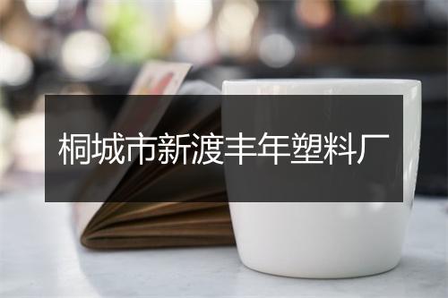 桐城市新渡丰年塑料厂