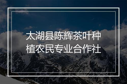 太湖县陈辉茶叶种植农民专业合作社