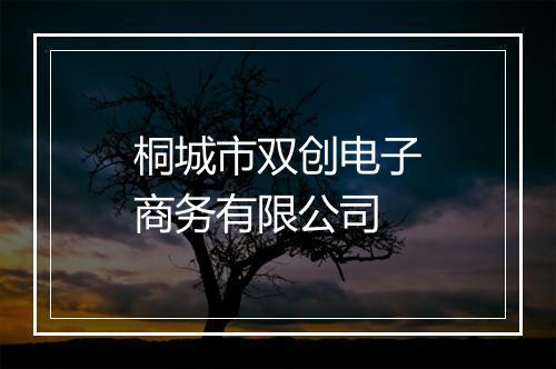 桐城市双创电子商务有限公司