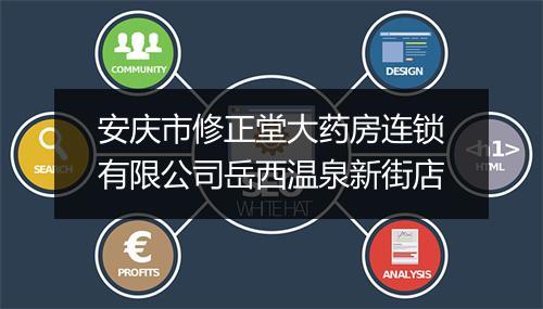 安庆市修正堂大药房连锁有限公司岳西温泉新街店