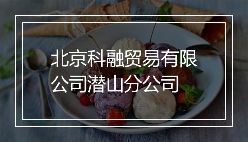 北京科融贸易有限公司潜山分公司