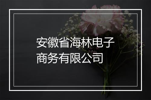 安徽省海林电子商务有限公司