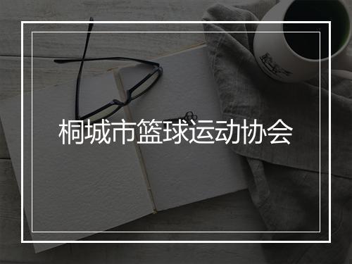 桐城市篮球运动协会