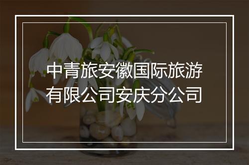 中青旅安徽国际旅游有限公司安庆分公司