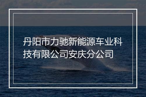 丹阳市力驰新能源车业科技有限公司安庆分公司