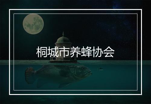 桐城市养蜂协会