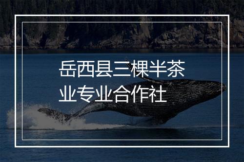 岳西县三棵半茶业专业合作社