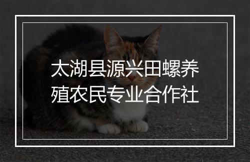 太湖县源兴田螺养殖农民专业合作社