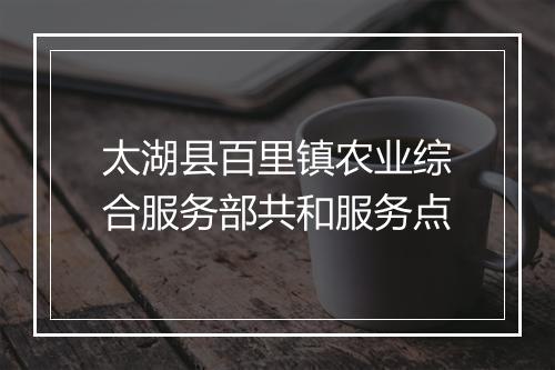 太湖县百里镇农业综合服务部共和服务点