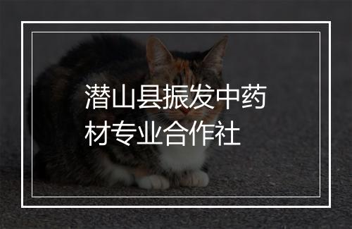 潜山县振发中药材专业合作社