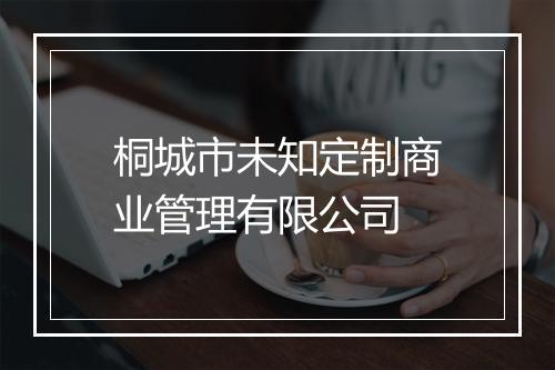 桐城市未知定制商业管理有限公司
