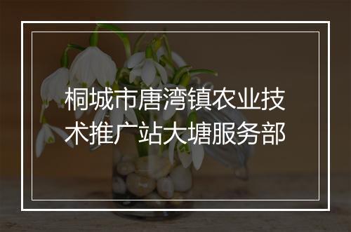 桐城市唐湾镇农业技术推广站大塘服务部