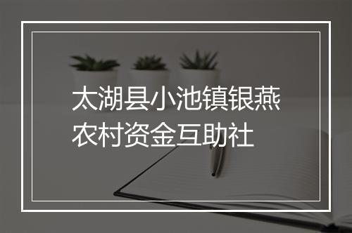 太湖县小池镇银燕农村资金互助社