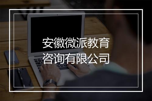 安徽微派教育咨询有限公司