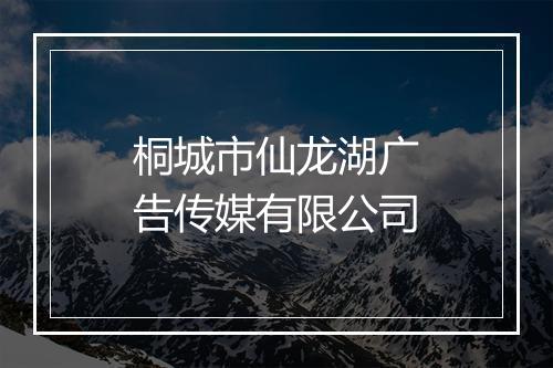 桐城市仙龙湖广告传媒有限公司