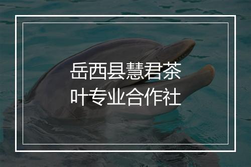 岳西县慧君茶叶专业合作社