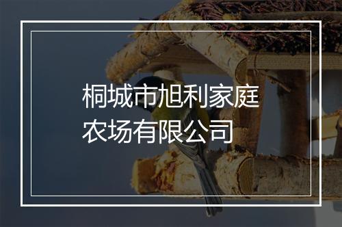 桐城市旭利家庭农场有限公司