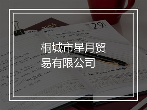 桐城市星月贸易有限公司