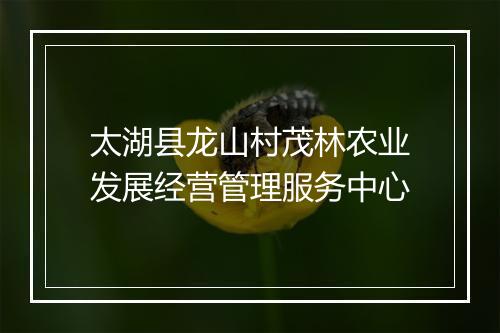 太湖县龙山村茂林农业发展经营管理服务中心