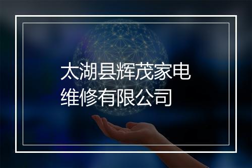 太湖县辉茂家电维修有限公司