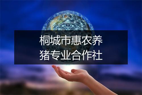 桐城市惠农养猪专业合作社