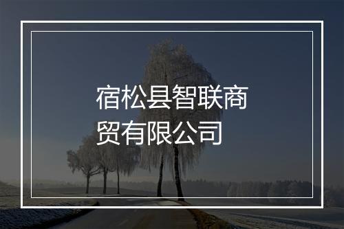 宿松县智联商贸有限公司
