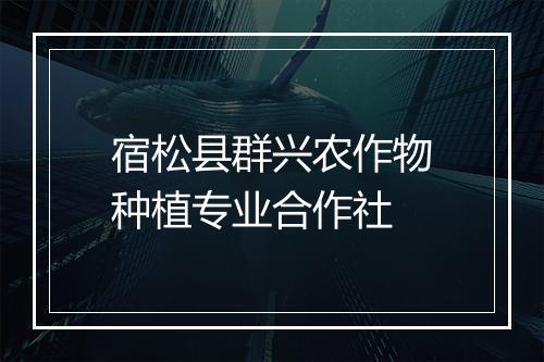 宿松县群兴农作物种植专业合作社