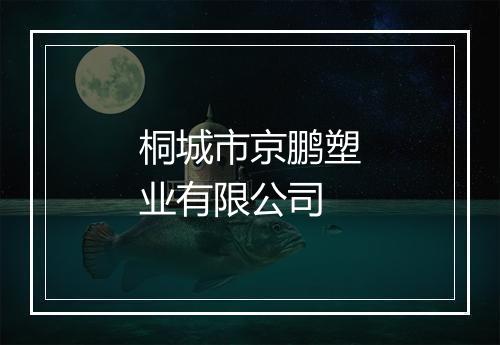 桐城市京鹏塑业有限公司