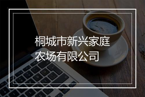 桐城市新兴家庭农场有限公司
