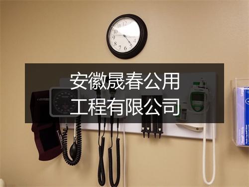 安徽晟春公用工程有限公司