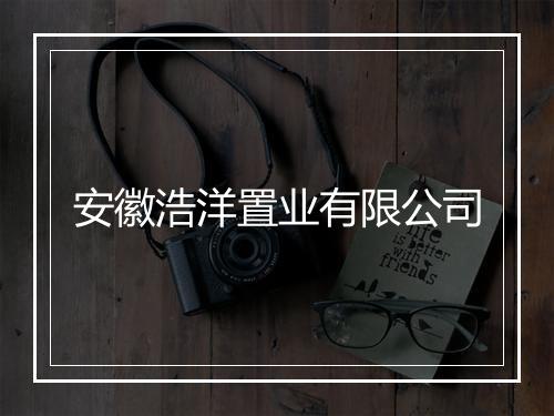 安徽浩洋置业有限公司