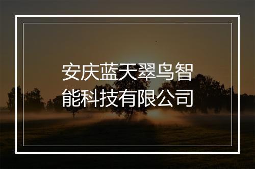 安庆蓝天翠鸟智能科技有限公司