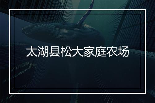 太湖县松大家庭农场