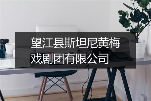 望江县斯坦尼黄梅戏剧团有限公司