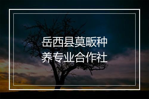 岳西县莫畈种养专业合作社