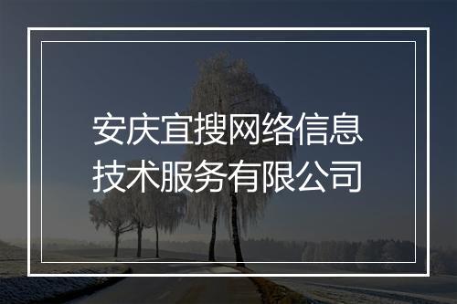 安庆宜搜网络信息技术服务有限公司