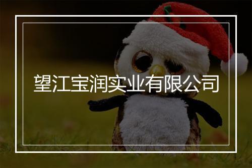 望江宝润实业有限公司