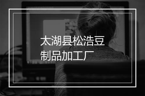 太湖县松浩豆制品加工厂
