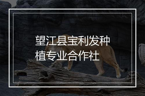 望江县宝利发种植专业合作社