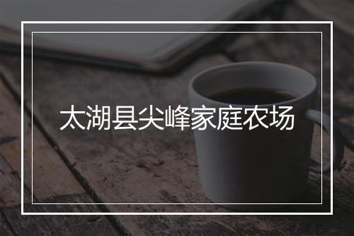 太湖县尖峰家庭农场