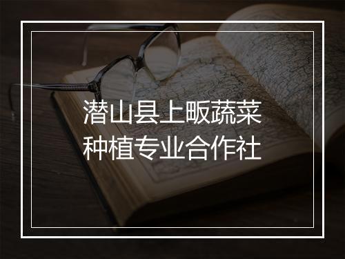 潜山县上畈蔬菜种植专业合作社