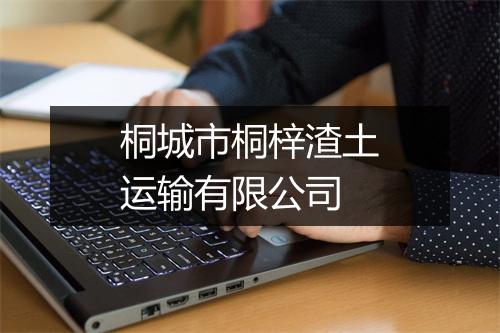 桐城市桐梓渣土运输有限公司