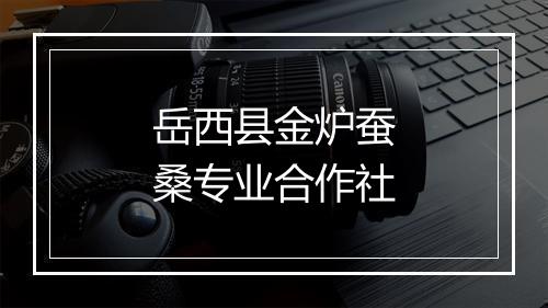 岳西县金炉蚕桑专业合作社