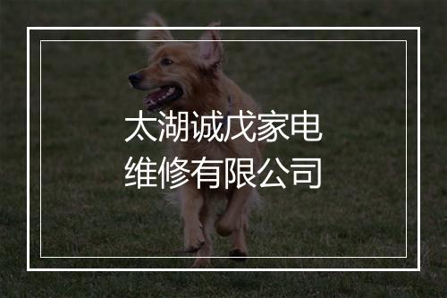太湖诚戊家电维修有限公司