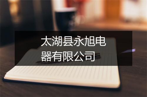 太湖县永旭电器有限公司