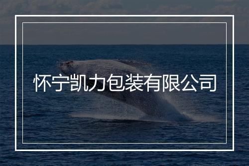 怀宁凯力包装有限公司