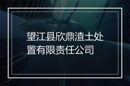 望江县欣鼎渣土处置有限责任公司