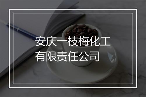 安庆一枝梅化工有限责任公司